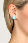 Turquoise Stud Earrings  - TL8